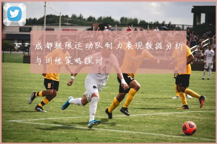 成都极限运动队耐力表现数据分析与训练策略探讨