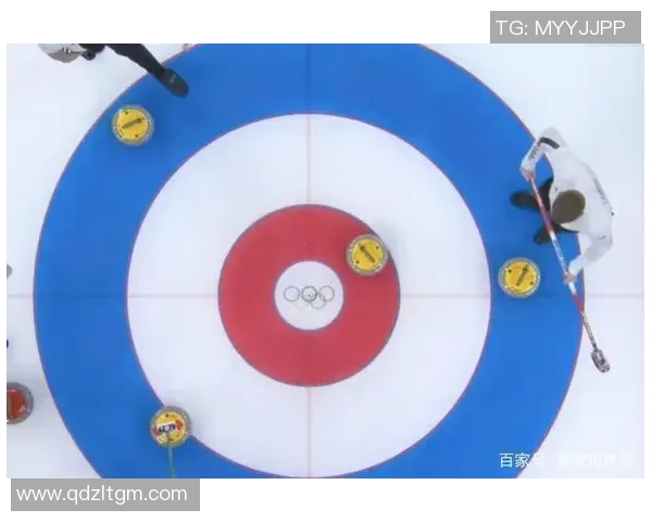 杭州排球队整体压制打法深度解析与战术优势剖析